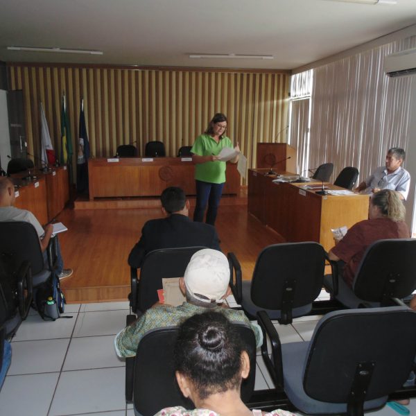 CMDRS realiza reunião ordinária no plenário da Câmara