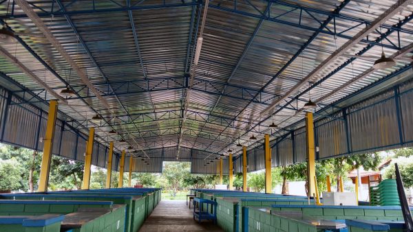 Prefeito autoriza início das obras de reestruturação do Galpão Feira Livre “Alberto Gonçalves da Silva” (1)