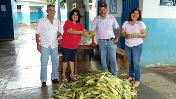 Prefeitura distribui milho colhido na Chácara Municipal