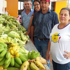 Prefeitura distribui milho colhido na Chácara Municipal