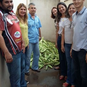 Prefeitura distribui milho colhido na Chácara Municipal
