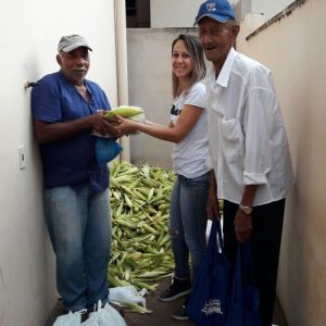 Prefeitura distribui milho colhido na Chácara Municipal