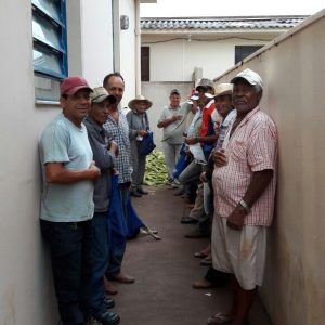 Prefeitura distribui milho colhido na Chácara Municipal