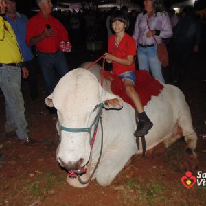 Cavalgada 2017 santa vitoria-mg (222) Cavalgada 2017 santa vitoria-mg (222)