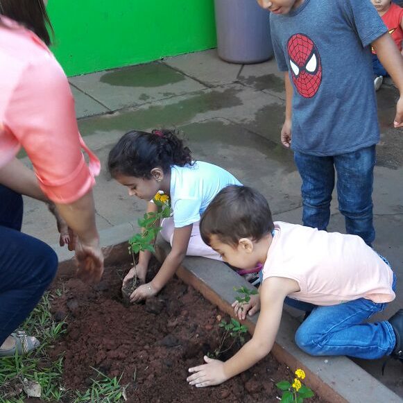 CEMEI Luiza Maria de Paula ensina os alunos a cultivar e preservar o Meio Ambiente com o Projeto Meu Jardim CEMEI Luiza Maria de Paula ensina os alunos a cultivar e preservar o Meio Ambiente com o Projeto Meu Jardim