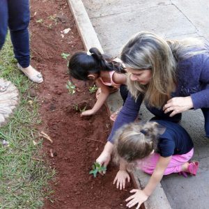 CEMEI Luiza Maria de Paula ensina os alunos a cultivar e preservar o Meio Ambiente com o Projeto Meu Jardim CEMEI Luiza Maria de Paula ensina os alunos a cultivar e preservar o Meio Ambiente com o Projeto Meu Jardim