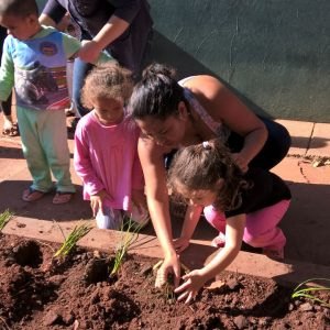 CEMEI Luiza Maria de Paula ensina os alunos a cultivar e preservar o Meio Ambiente com o Projeto Meu Jardim CEMEI Luiza Maria de Paula ensina os alunos a cultivar e preservar o Meio Ambiente com o Projeto Meu Jardim