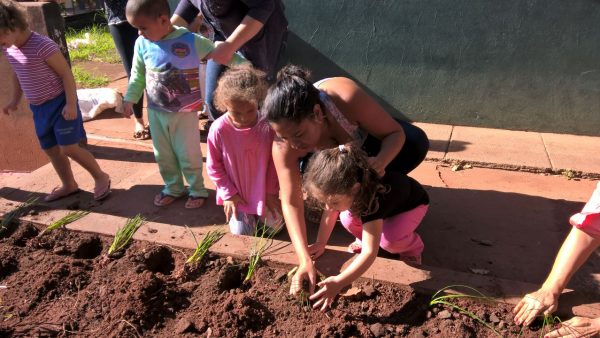 CEMEI Luiza Maria de Paula ensina os alunos a cultivar e preservar o Meio Ambiente com o Projeto Meu Jardim