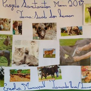 Sanitaristas Mirins de Santa Vitória participam de palestra sobre a saúde das pessoas e dos animais Sanitaristas Mirins de Santa Vitória participam de palestra sobre a saúde das pessoas e dos animais