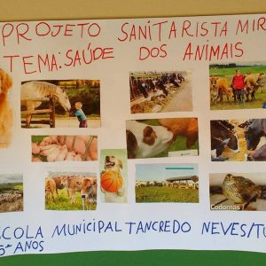 Sanitaristas Mirins de Santa Vitória participam de palestra sobre a saúde das pessoas e dos animais Sanitaristas Mirins de Santa Vitória participam de palestra sobre a saúde das pessoas e dos animais