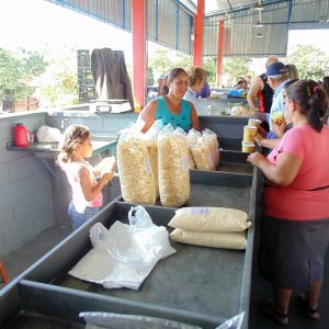 primeiro dia de funcionamento da Feira Municipal no novo espaço em Santa Vitória (6) primeiro dia de funcionamento da Feira Municipal no novo espaço em Santa Vitória (6)