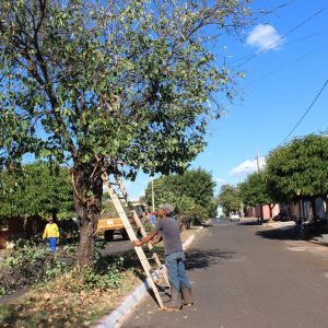 Prefeitura promove melhorias em vários pontos da cidade Prefeitura promove melhorias em vários pontos da cidade