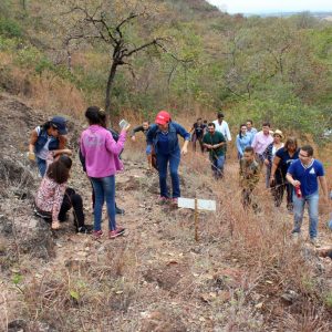 VI Jornada Mineira do Patrimônio Cultural – Serra do Tatu VI Jornada Mineira do Patrimônio Cultural - Serra do Tatu