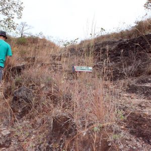 VI Jornada Mineira do Patrimônio Cultural – Serra do Tatu VI Jornada Mineira do Patrimônio Cultural - Serra do Tatu