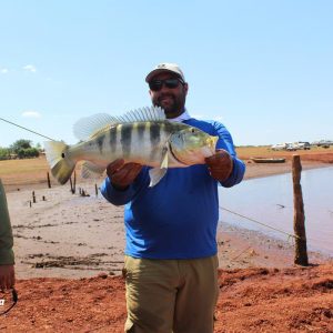 Santa Vitória Pesca 2017 bate recorde de tamanho de peixes (14) Santa Vitória Pesca 2017 bate recorde de tamanho de peixes (14)