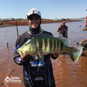 Santa Vitória Pesca 2017 bate recorde de tamanho de peixes (46) Santa Vitória Pesca 2017 bate recorde de tamanho de peixes (46)