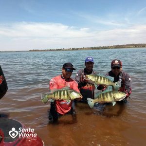 Santa Vitória Pesca 2017 bate recorde de tamanho de peixes (48) Santa Vitória Pesca 2017 bate recorde de tamanho de peixes (48)