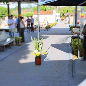 Cemitério e Velório de Santa Vitória recebem melhorias na infraestrutura (8) Cemitério e Velório de Santa Vitória recebem melhorias na infraestrutura (8)