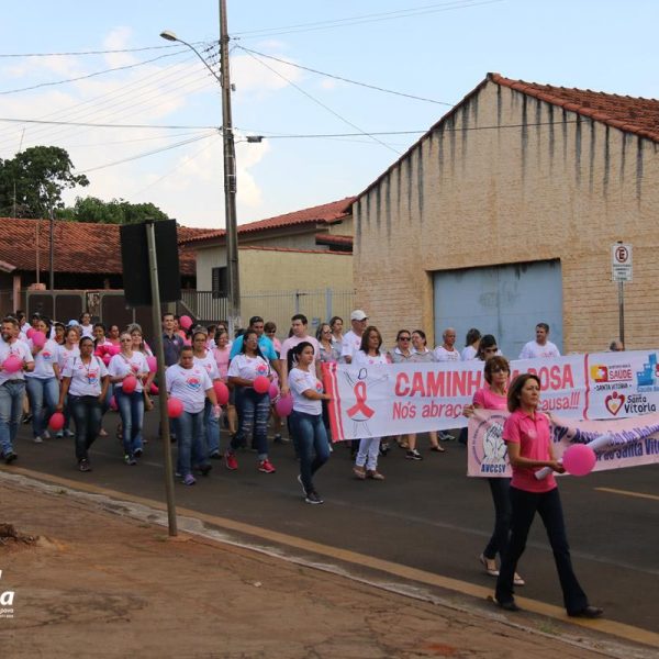 Dia D encerra Ações do Outubro Rosa em Santa Vitória (2)