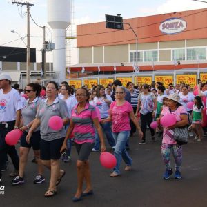 Dia D encerra Ações do Outubro Rosa em Santa Vitória (7)