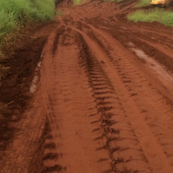 A estrada recuperada na região do Arantes