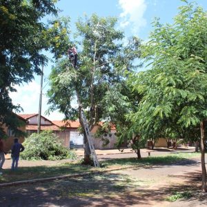 Prefeitura faz poda de árvores na Rua José Malvino Prefeitura faz poda de árvores na Rua José Malvino