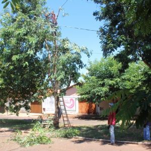 Prefeitura faz poda de árvores na Rua José Malvino Prefeitura faz poda de árvores na Rua José Malvino