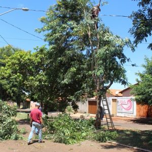 Prefeitura faz poda de árvores na Rua José Malvino Prefeitura faz poda de árvores na Rua José Malvino