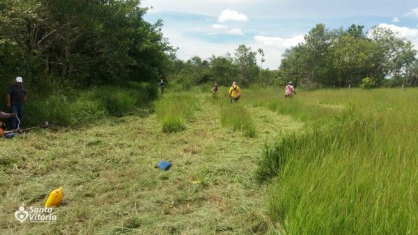 Prefeitura intensifica ações de manutenção de mudas do Programa Minha Água Minha Vida (1)
