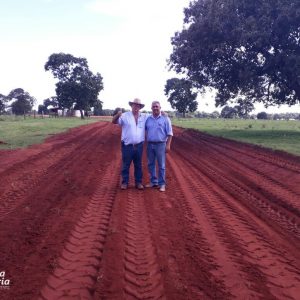 Região da Perdilândia – Ademar Faria Beleza Região da Perdilândia - Ademar Faria Beleza