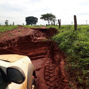 São Domingos - Fazenda H8