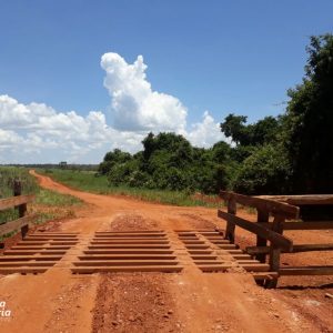 mata-barro de madeira na Região São Domingos2 mata-barro de madeira na Região São Domingos2