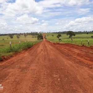 Prefeitura continua o trabalho de recuperação das estradas rurais Prefeitura continua o trabalho de recuperação das estradas rurais