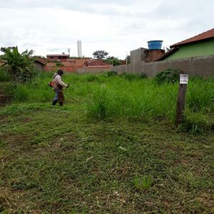 Prefeitura e comunidade mobilizam mutirão de limpeza no distrito de Chaveslândia para reforçar combate contra a Dengue (13) Prefeitura e comunidade mobilizam mutirão de limpeza no distrito de Chaveslândia para reforçar combate contra a Dengue (13)