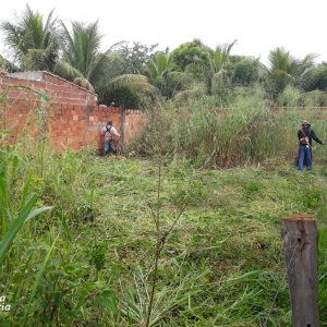Prefeitura e comunidade mobilizam mutirão de limpeza no distrito de Chaveslândia para reforçar combate contra a Dengue (15) Prefeitura e comunidade mobilizam mutirão de limpeza no distrito de Chaveslândia para reforçar combate contra a Dengue (15)