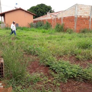 Prefeitura e comunidade mobilizam mutirão de limpeza no distrito de Chaveslândia para reforçar combate contra a Dengue (18) Prefeitura e comunidade mobilizam mutirão de limpeza no distrito de Chaveslândia para reforçar combate contra a Dengue (18)
