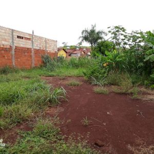 Prefeitura e comunidade mobilizam mutirão de limpeza no distrito de Chaveslândia para reforçar combate contra a Dengue (21) Prefeitura e comunidade mobilizam mutirão de limpeza no distrito de Chaveslândia para reforçar combate contra a Dengue (21)