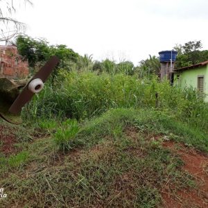 Prefeitura e comunidade mobilizam mutirão de limpeza no distrito de Chaveslândia para reforçar combate contra a Dengue (22) Prefeitura e comunidade mobilizam mutirão de limpeza no distrito de Chaveslândia para reforçar combate contra a Dengue (22)