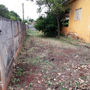 Prefeitura e comunidade mobilizam mutirão de limpeza no distrito de Chaveslândia para reforçar combate contra a Dengue (32) Prefeitura e comunidade mobilizam mutirão de limpeza no distrito de Chaveslândia para reforçar combate contra a Dengue (32)