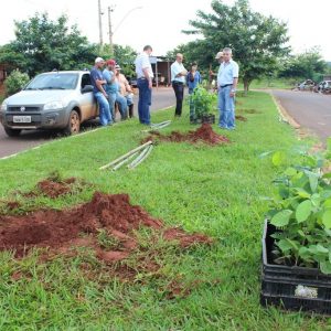 Projeto da Prefeitura e SVAA promove arborização urbana em Santa Vitória Projeto da Prefeitura e SVAA promove arborização urbana em Santa Vitória