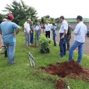 Projeto da Prefeitura e SVAA promove arborização urbana em Santa Vitória Projeto da Prefeitura e SVAA promove arborização urbana em Santa Vitória