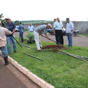 Projeto da Prefeitura e SVAA promove arborização urbana em Santa Vitória Projeto da Prefeitura e SVAA promove arborização urbana em Santa Vitória