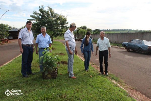 Projeto da Prefeitura e SVAA promove arborização urbana em Santa Vitória (6)
