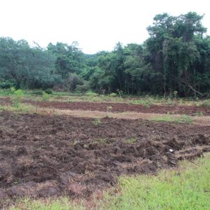 Atendimento a produtores rurais Atendimento a produtores rurais