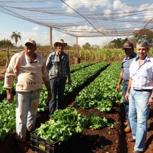 Chácara Municipal Chácara Municipal