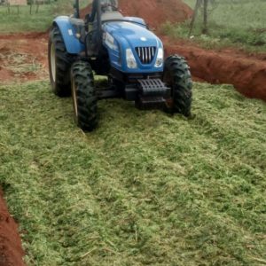 Chácara Municipal Chácara Municipal