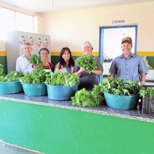 Distribuição da produção nas escolas municipais e estaduais e nas entidades filantrópicas – E. Municipal São José Distribuição da produção nas escolas municipais e estaduais e nas entidades filantrópicas - E. Municipal São José