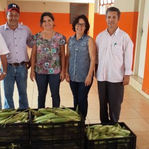 Distribuição da produção nas escolas municipais e estaduais e nas entidades filantrópicas – Escolas Estaduais Distribuição da produção nas escolas municipais e estaduais e nas entidades filantrópicas - Escolas Estaduais