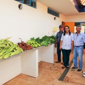 Distribuição da produção nas escolas municipais e estaduais e nas entidades filantrópicas – CEMEI Distribuição da produção nas escolas municipais e estaduais e nas entidades filantrópicas - CEMEI