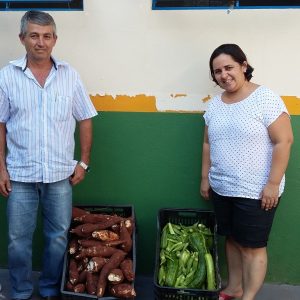 Distribuição da produção nas escolas municipais e estaduais e nas entidades filantrópicas Distribuição da produção nas escolas municipais e estaduais e nas entidades filantrópicas